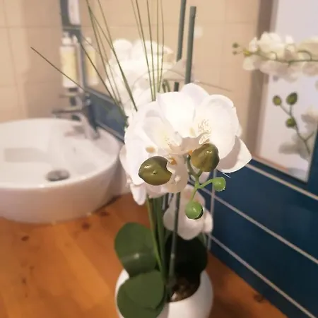 Apartamento Graciosa - Sta Catarina Place Ponta Delgada Exterior foto